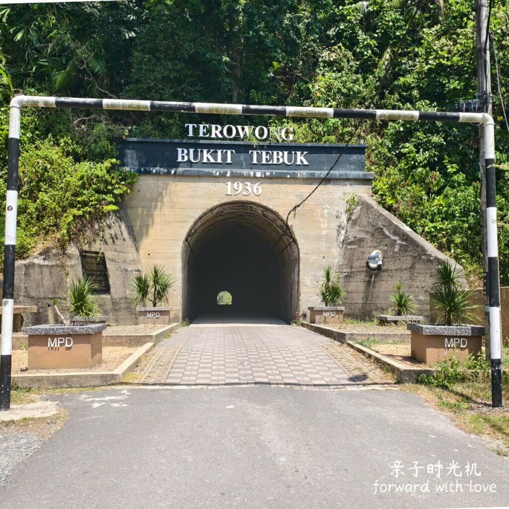Terowong Bukit Tebuk