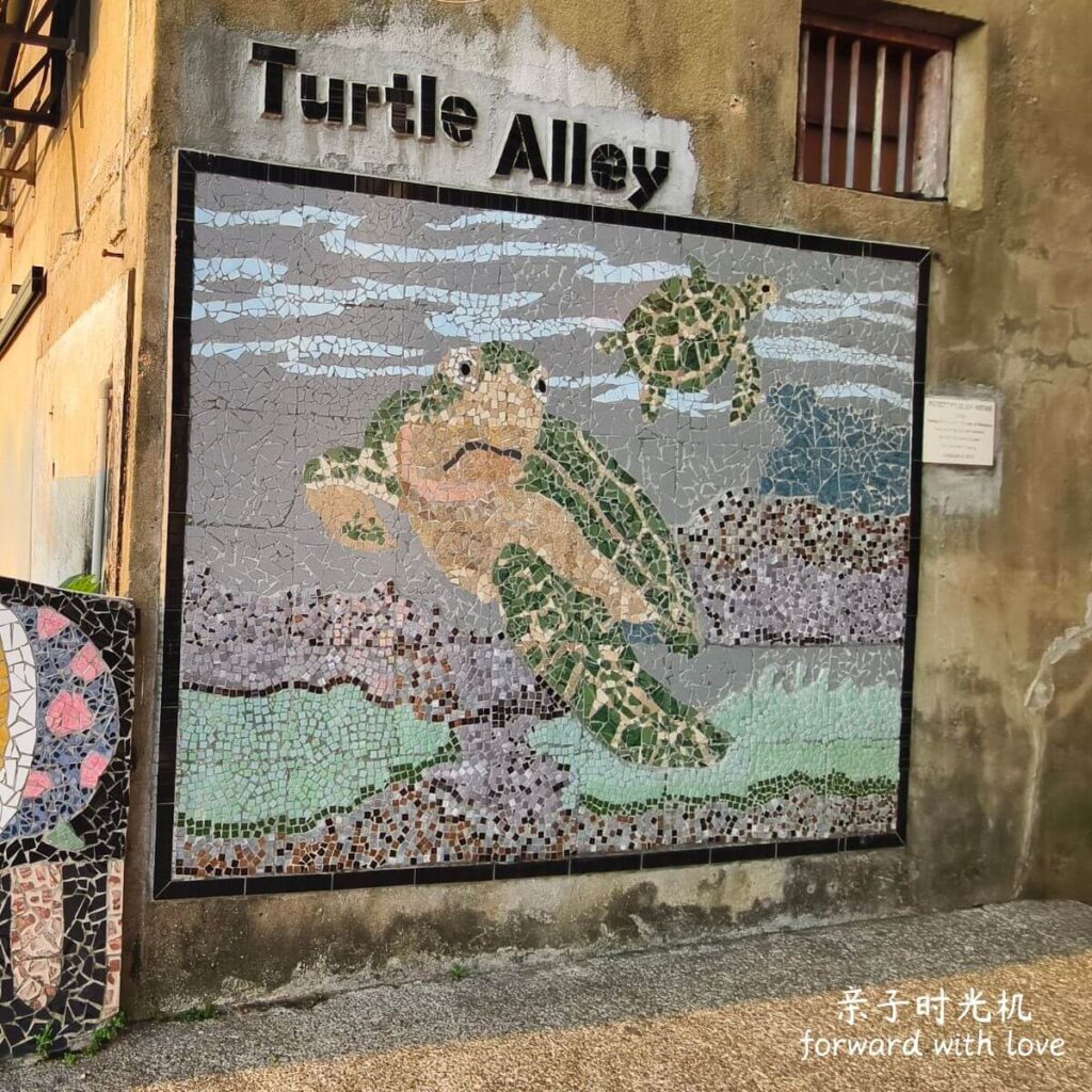海龟巷 Turtle Alley